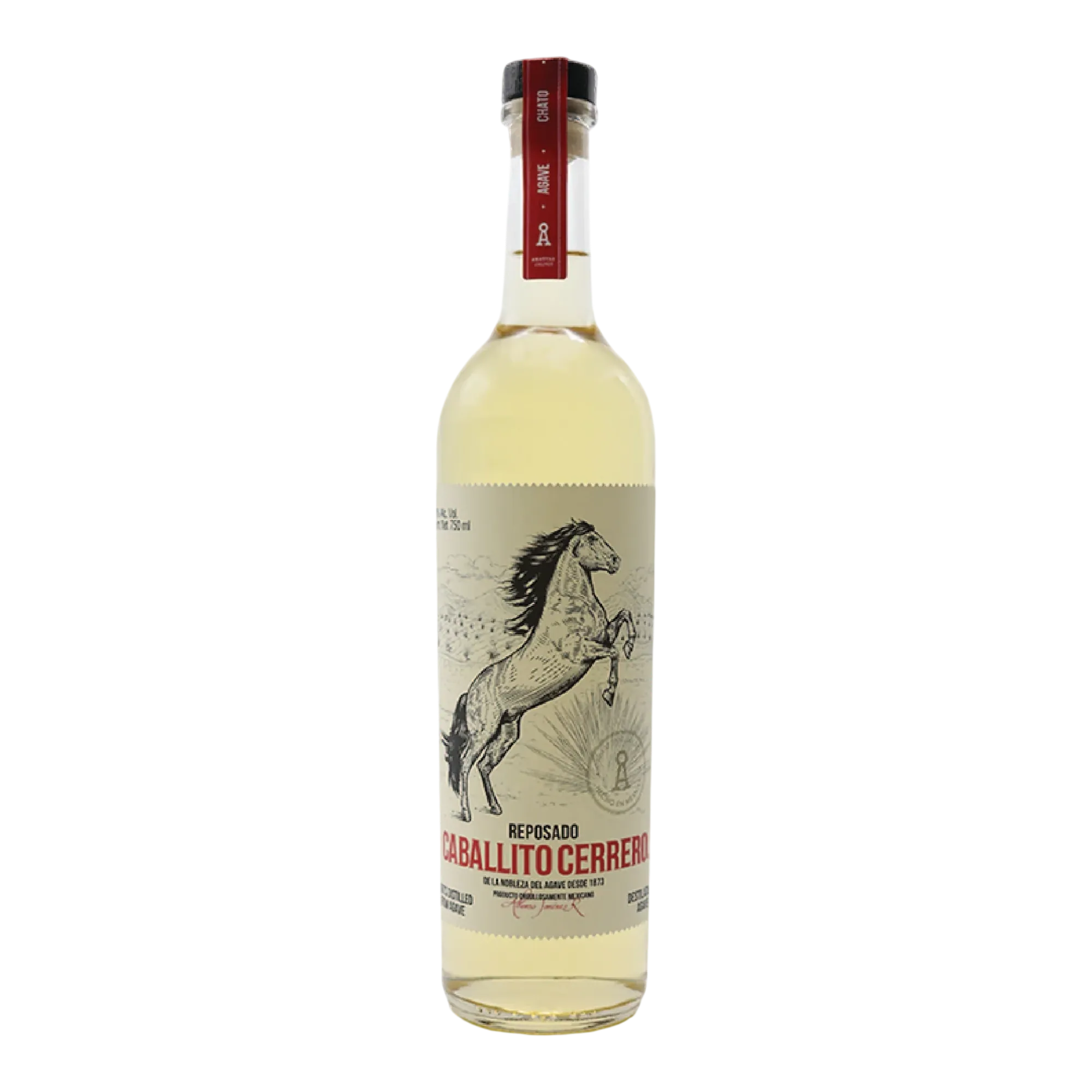 Caballito Cerrero Puntas Agave Spirit