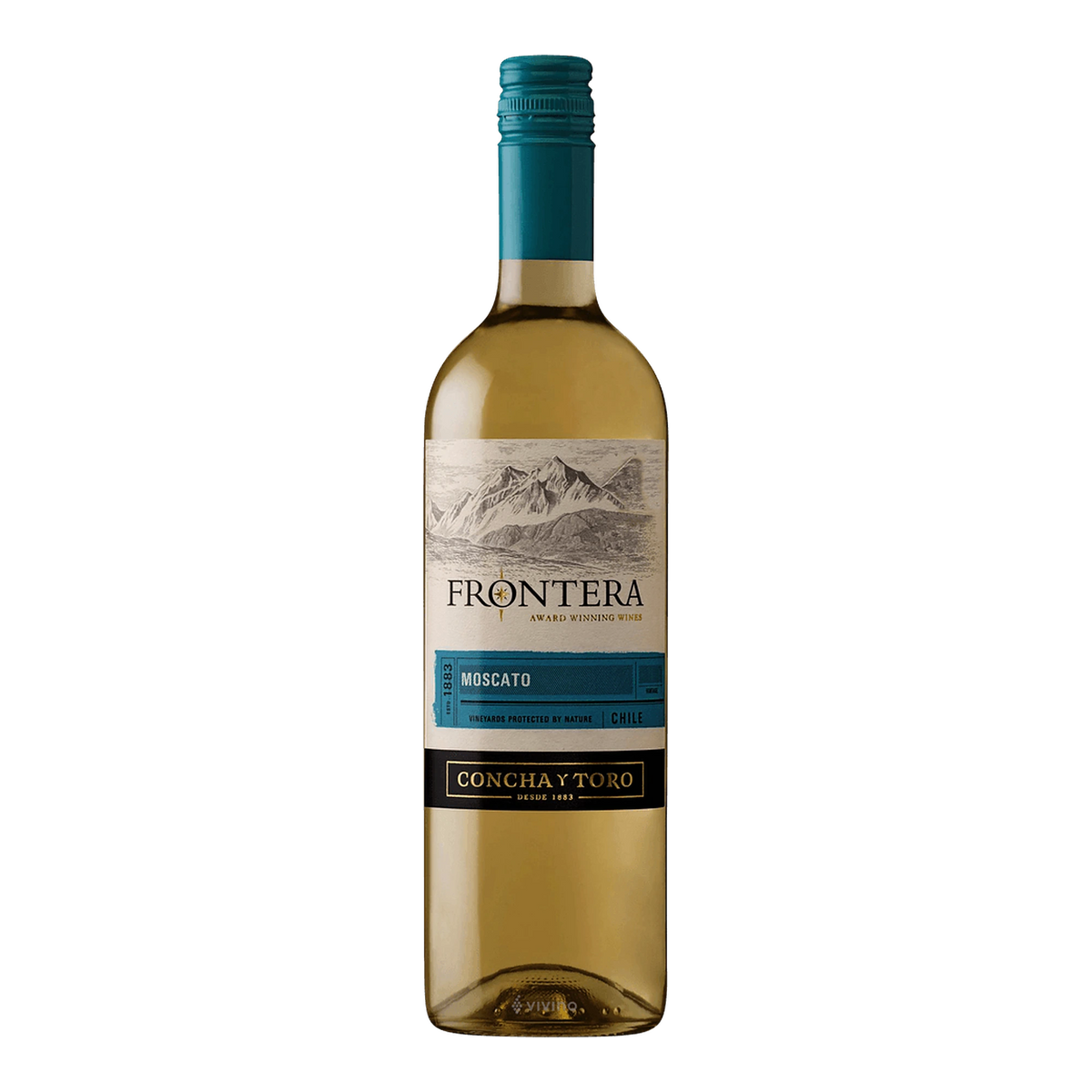 Frontera Moscato 4 Pack